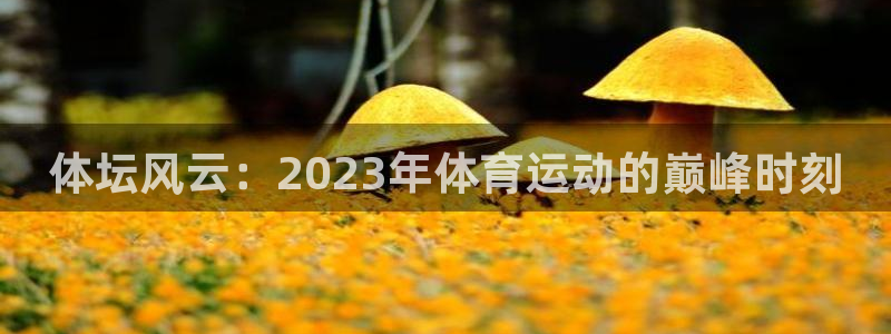 91体育网页版：体坛风云：2023年体育运动的巅峰时刻