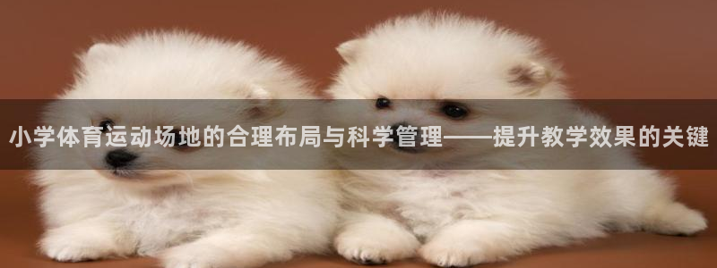 91体育：小学体育运动场地的合理布局与科学管理——提升教学效果的关键