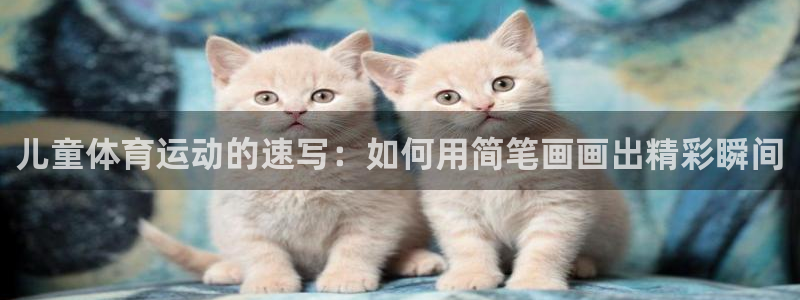91体育在线登陆