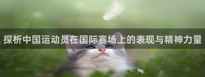 91体育网页版：探析中国运动员在国际赛场上的表现与精神力量