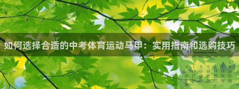 991体育综合1：如何选择合适的中考体育运动马甲：实用指南和选购技巧