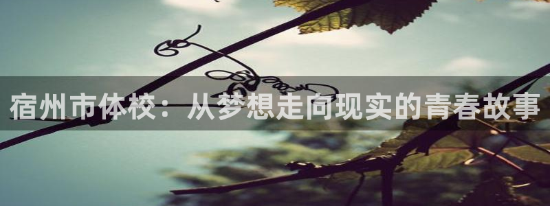 91体育在线登陆：宿州市体校：从梦想走向现实的青春故事