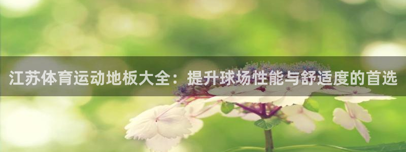 991体育综合1：江苏体育运动地板大全：提升球场性能与舒适度的首选