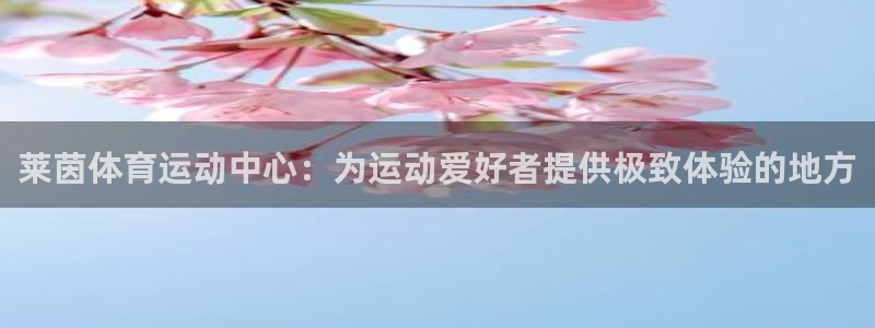 91体育网页版：莱茵体育运动中心：为运动爱好者提供极致体验的地方